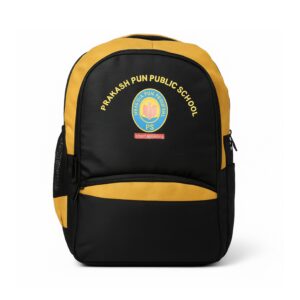 Prakash Punj Public School