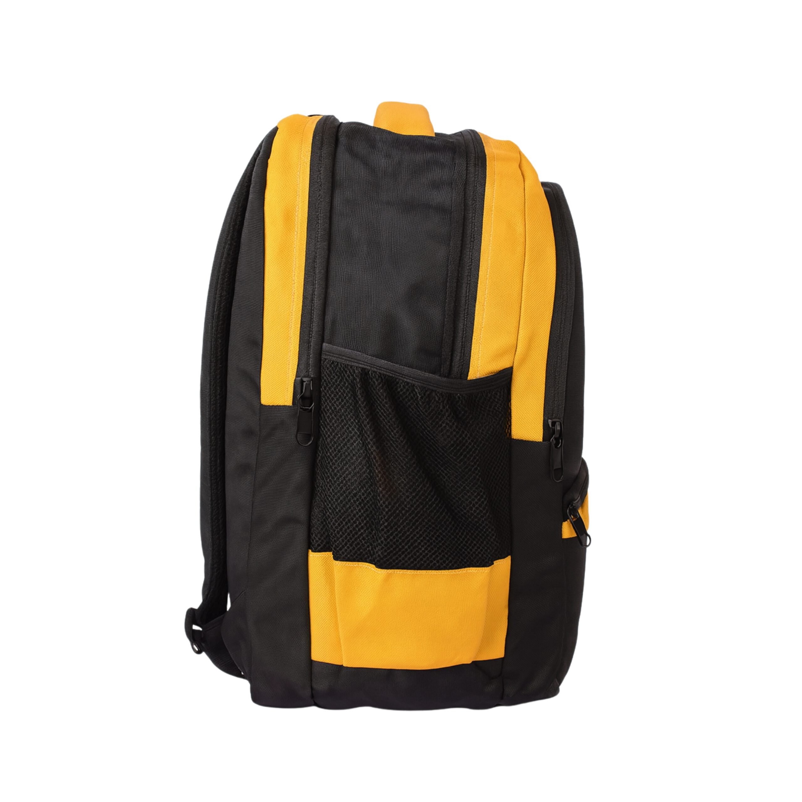 Prakash Punj Public School - Image 7