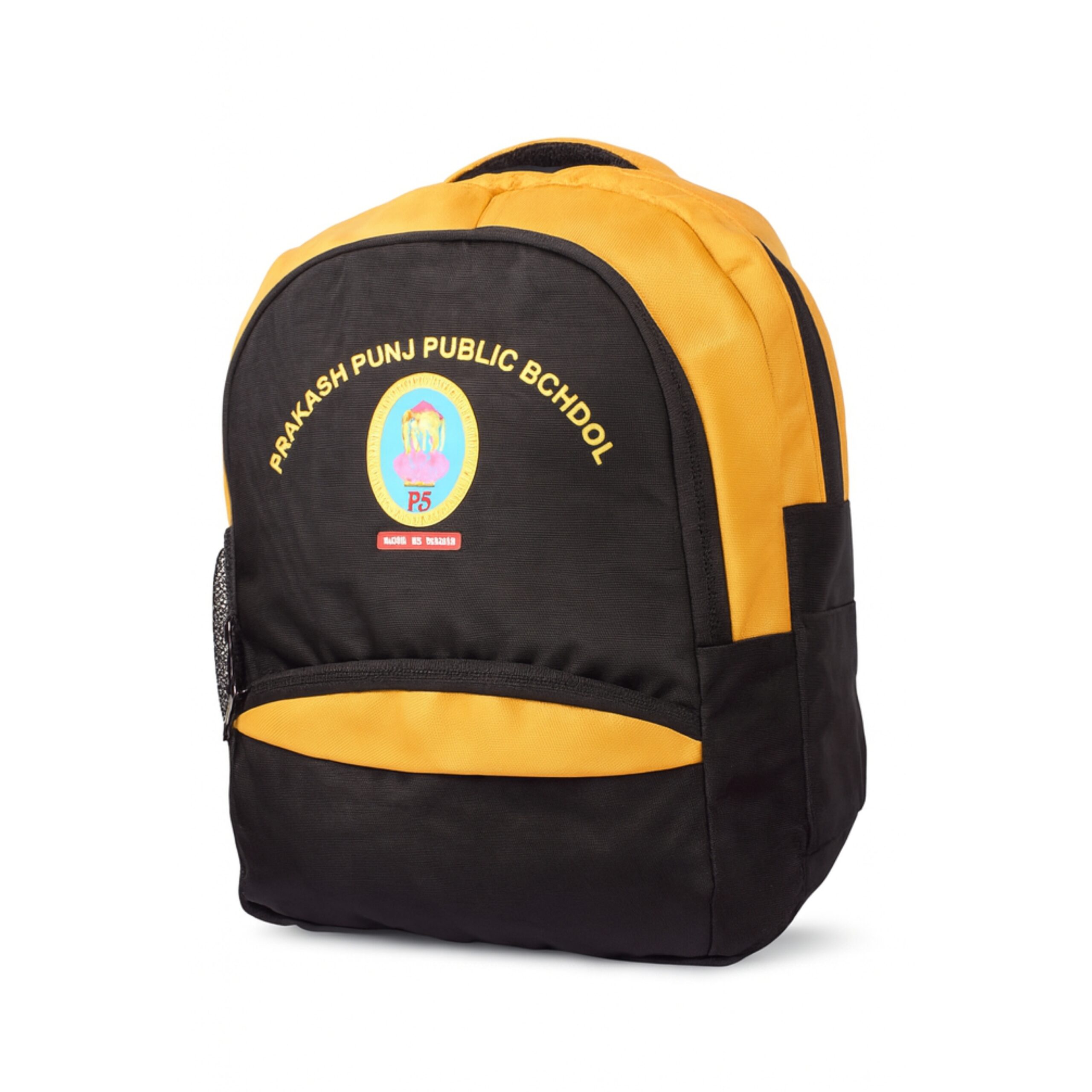 Prakash Punj Public School - Image 8